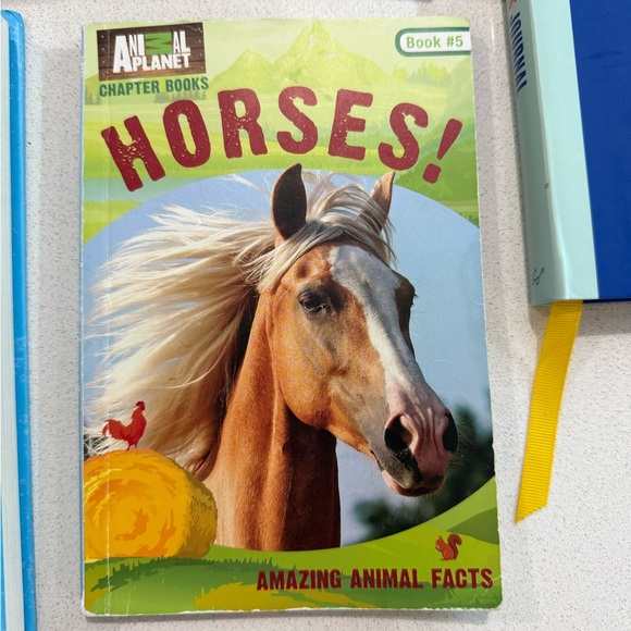 Colorful Book Collection - Picture 4 of 6